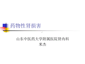 药物性肾损害PPT课件2.ppt