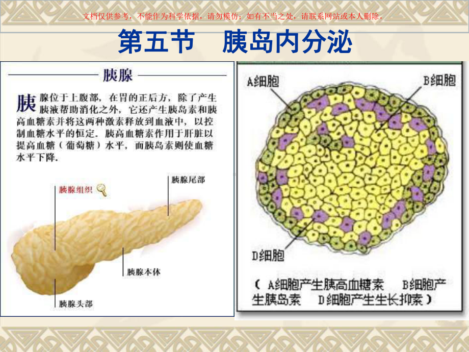 内分泌专题知识讲座课件.ppt_第1页