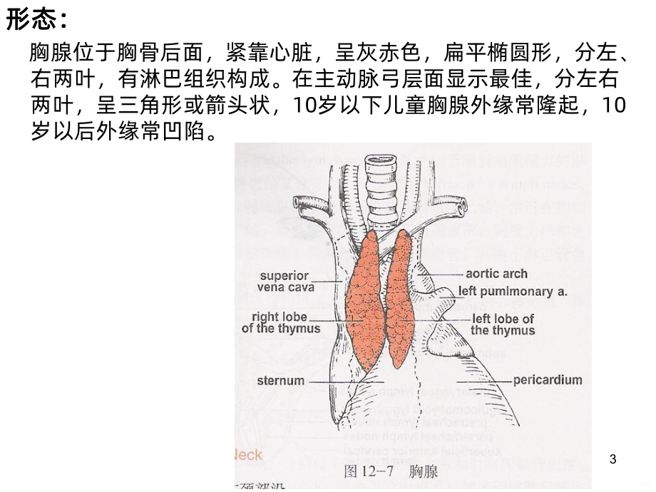 胸腺瘤的CT诊断PPT课件.ppt_第3页