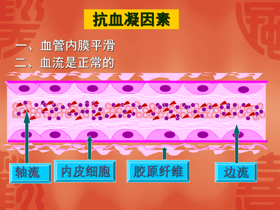 4.血栓形成-PPT课件.ppt_第3页