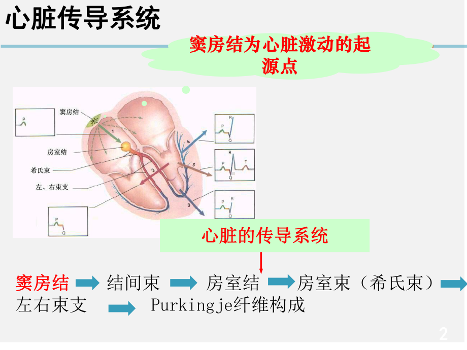 第三节心律失常病人-的护理PPT课件.ppt_第2页