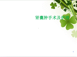 肾囊肿手术及护理PPT演示课件.ppt