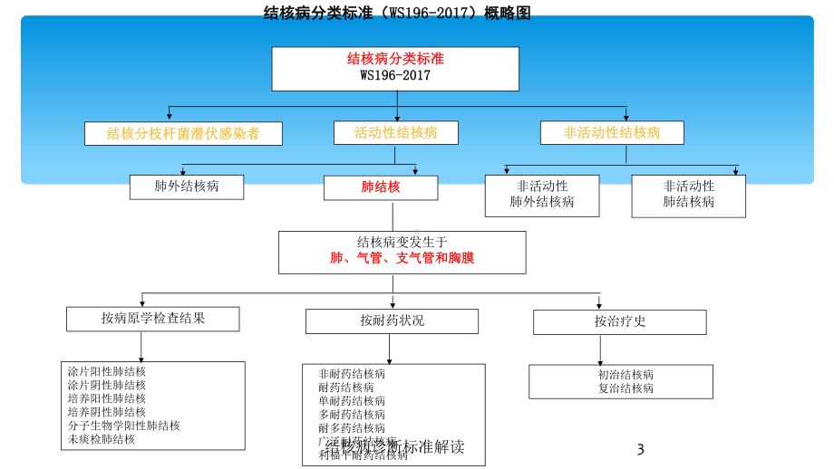 结核病诊断标准解读培训课件.ppt_第3页