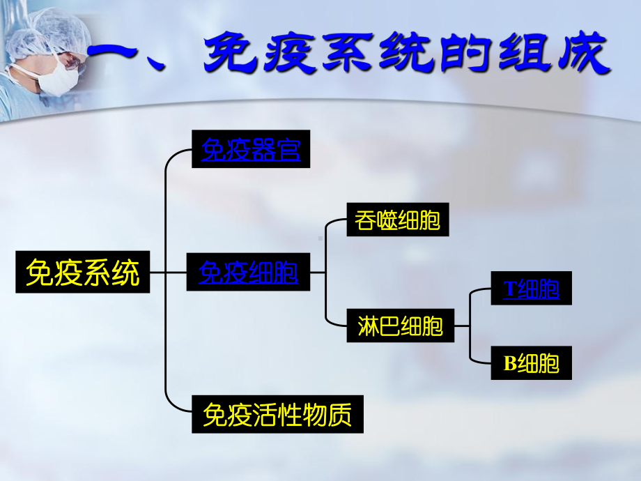 体液免疫的过程抗原吞噬细胞课件.ppt_第3页