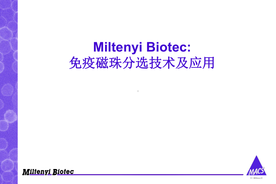 免疫磁珠分选原理及应用-ppt课件.ppt_第2页