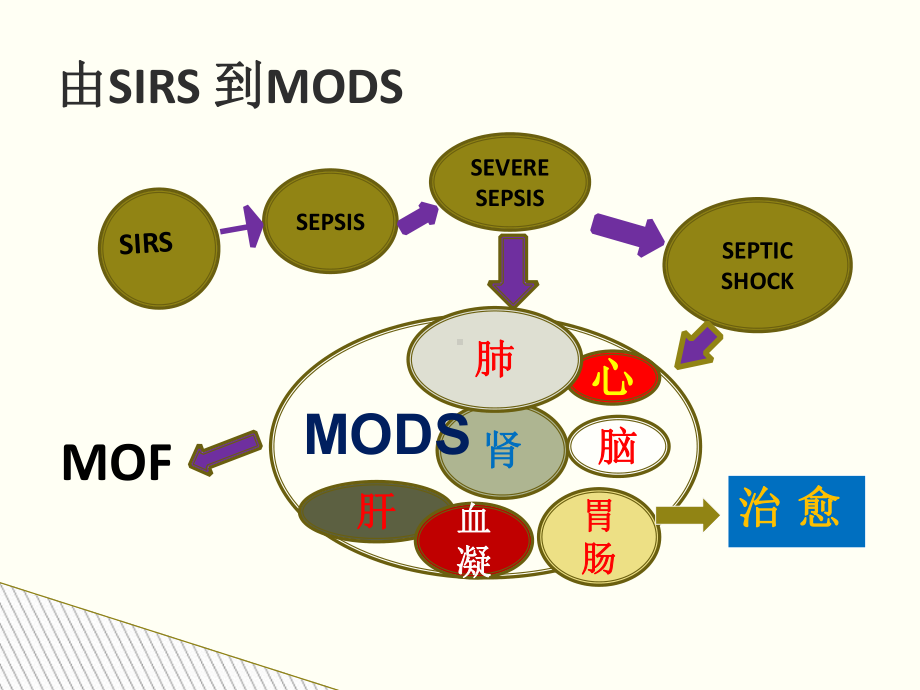 多脏器功能障碍综合征优质PPT课件.ppt_第3页
