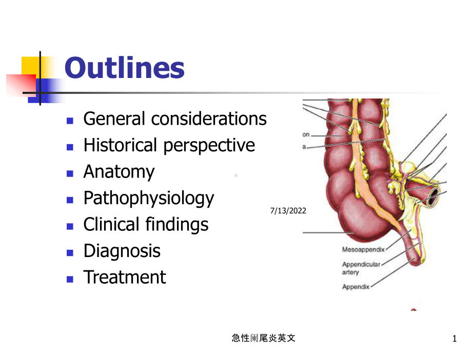 急性阑尾炎英文培训课件.ppt_第1页