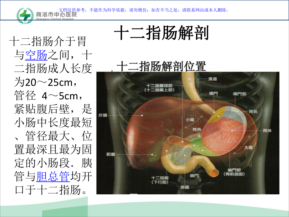 十二指肠癌的诊治进展课件.ppt_第1页