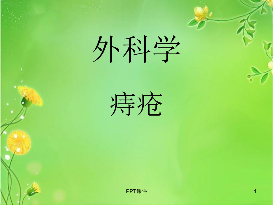 痔疮-ppt课件.ppt_第1页