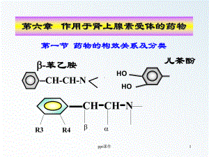 肾上腺素受体药物-ppt课件.ppt