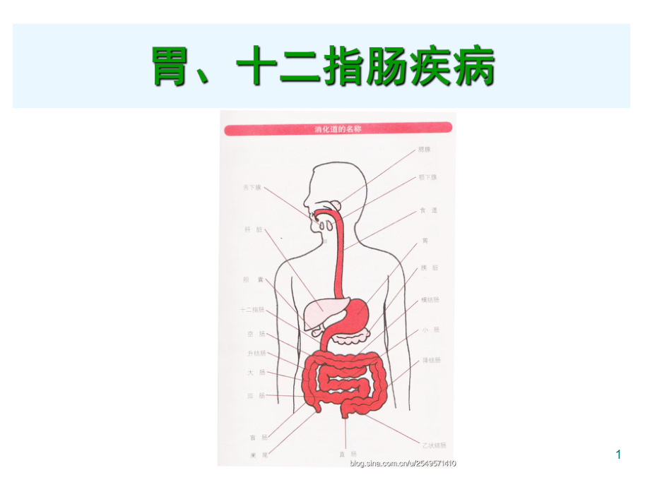 胃和十二指肠疾病PPT课件.ppt_第1页