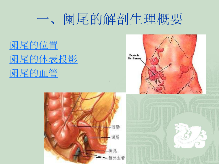 急性阑尾炎PPT课件3.ppt_第2页