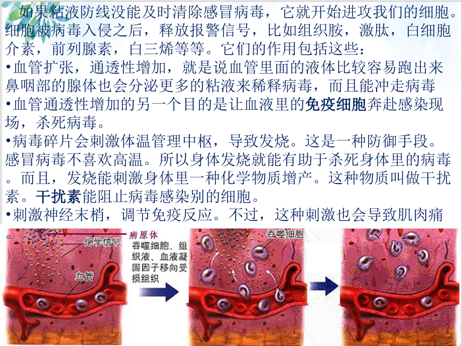 特异性免疫（新）人教版高中生物选择性必修一PPT课件.pptx_第3页