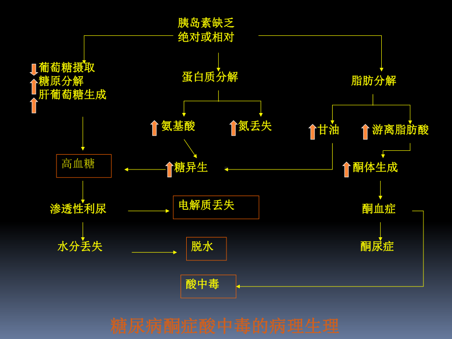 糖尿病酮症酸中毒治疗-PPT课件.ppt_第3页