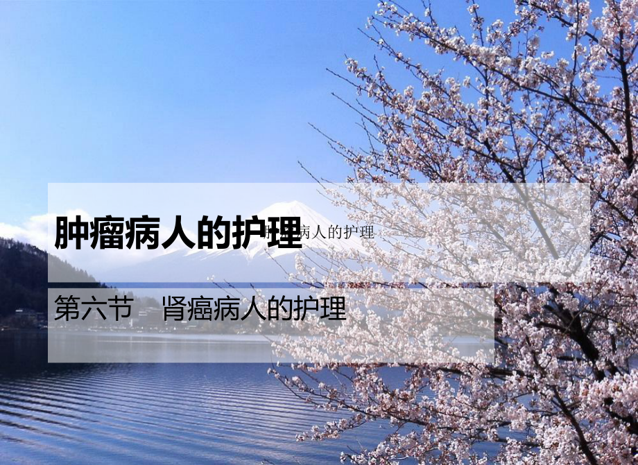 肿瘤病人的护理-PPT课件1.ppt_第1页