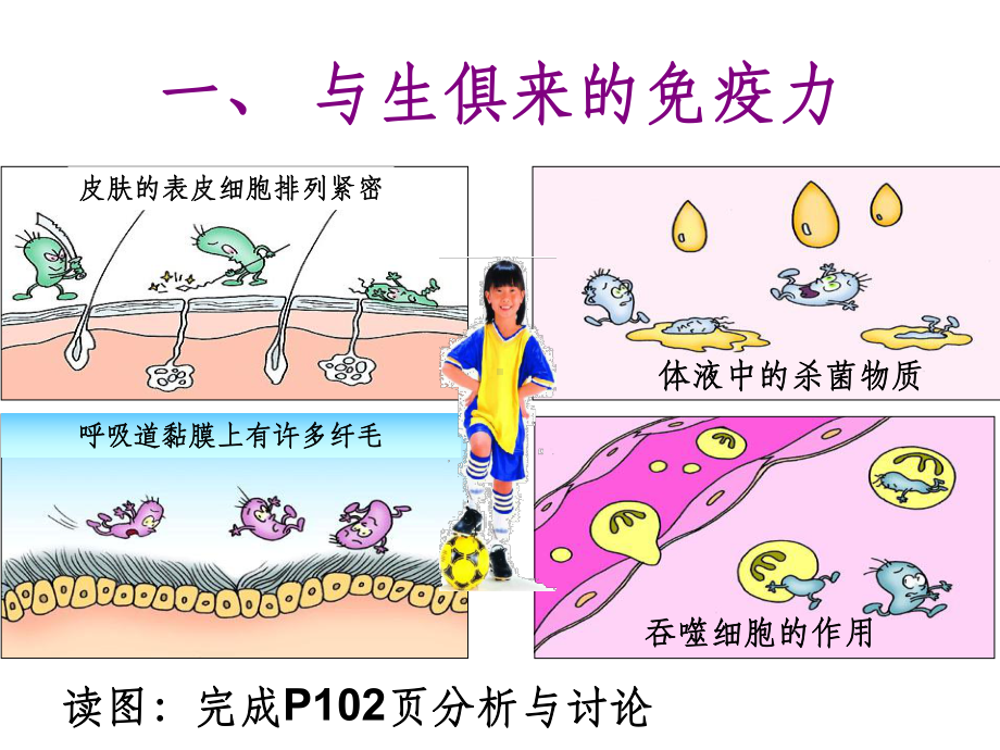 人体的免疫功能ppt课件1.ppt_第3页