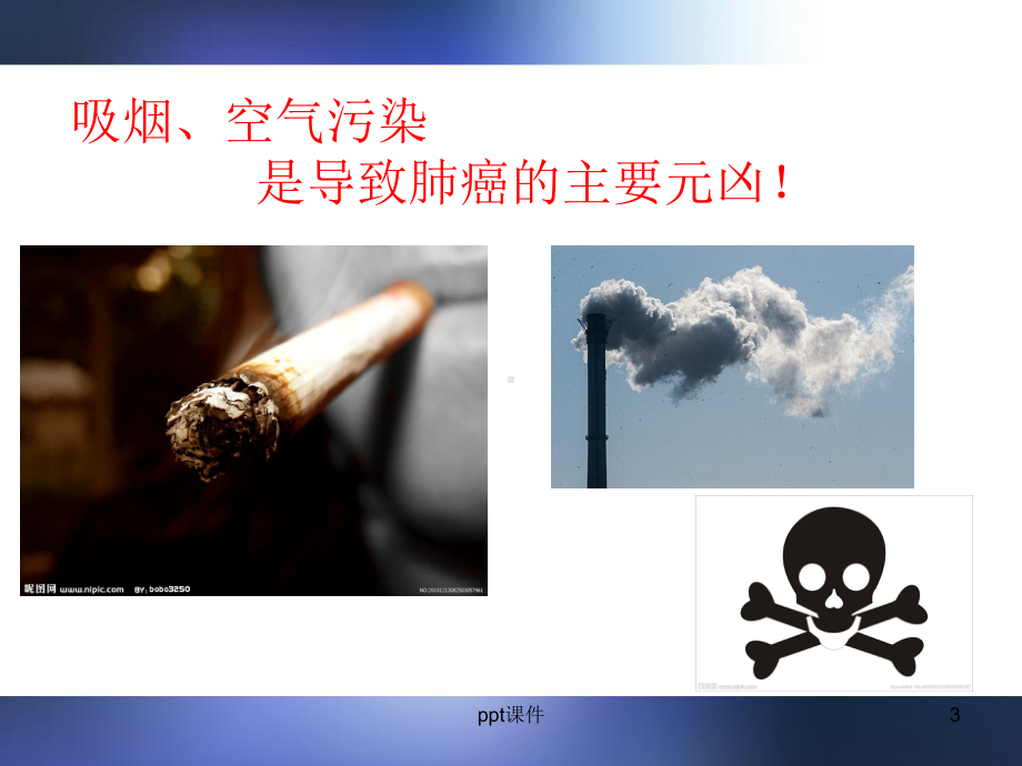 肺癌的康复与护理-ppt课件.ppt_第3页