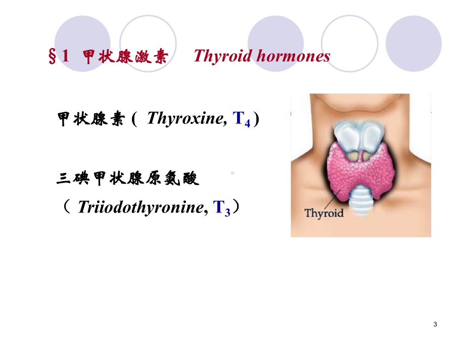 第36章甲状腺激素及抗甲状腺药-PPT课件1.ppt_第3页