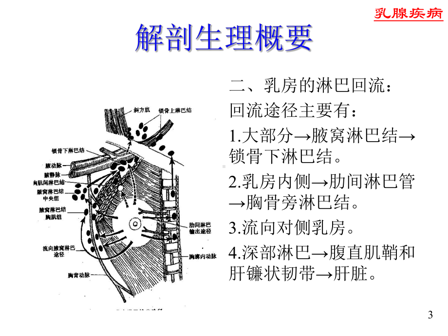 乳腺疾病-ppt课件1.ppt_第3页