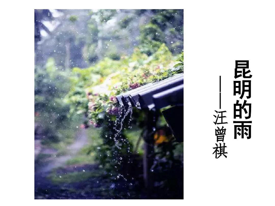 部编版八年级语文上册《昆明的雨》课件（定稿）.pptx_第2页