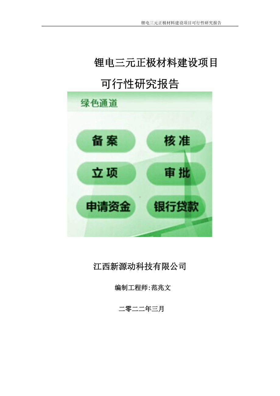 锂电三元正极材料项目可行性研究报告-申请建议书用可修改样本.doc_第1页