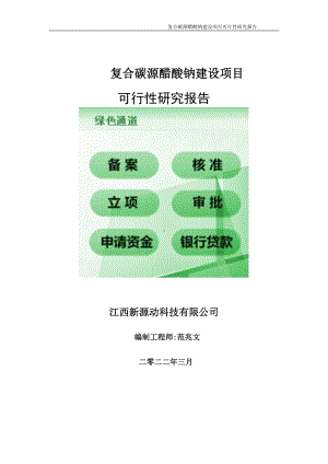 复合碳源醋酸钠项目可行性研究报告-申请建议书用可修改样本.doc