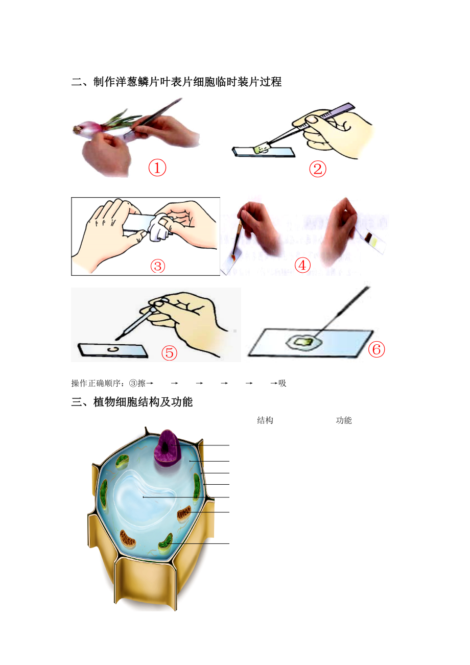 上海市初中生物会考知识点总复习.doc_第2页