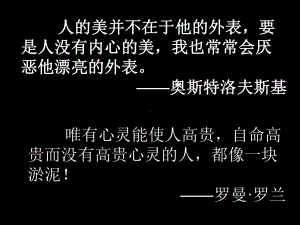 部编版八年级上册语文《列夫托尔斯泰》课件（定稿）.pptx