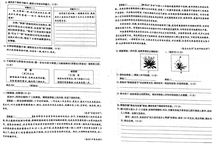 2022年浙江省台州市中考语文试题.pdf_第3页