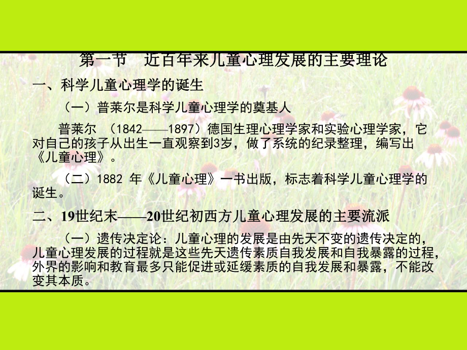 学前心理学-第十二章--幼儿发展的基本理论.ppt_第2页