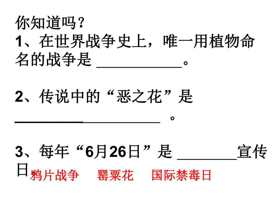 禁毒主题班会(共60张PPT).ppt_第2页