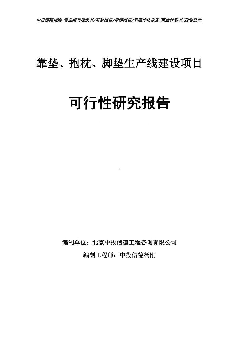 靠垫、抱枕、脚垫可行性研究报告申请建议书案例.doc_第1页