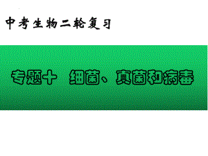 2022年中考生物-专题10 细菌、真菌和病毒.pptx