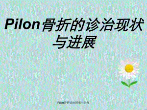 Pilon骨折诊治现状与进展课件.ppt