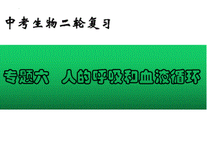 2022年中考生物-专题06 人的呼吸和血液循环.pptx