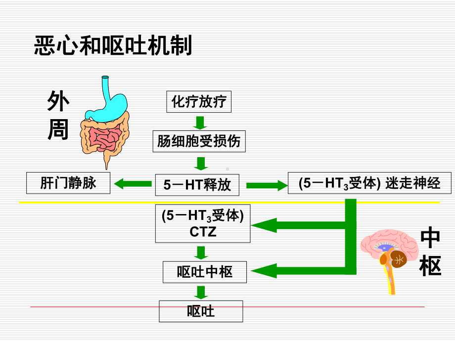 NCCN化疗止吐指南解读-共39页课件.ppt_第2页