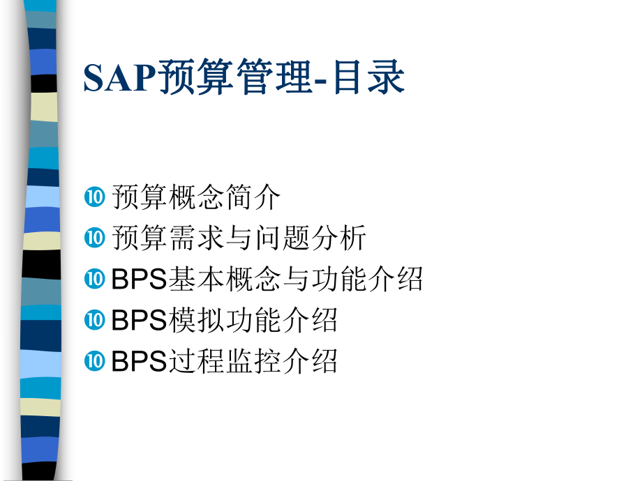 SAP预算管理需求(ppt-54页)课件.ppt_第2页