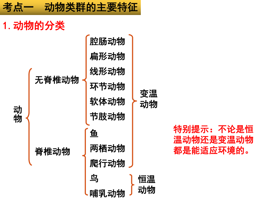 2022年中考生物-专题08 动物的主要类群.pptx_第3页