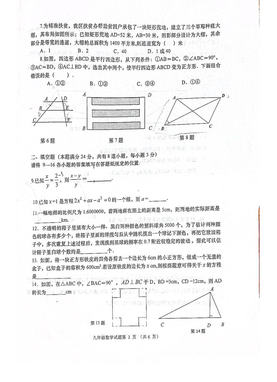 山东省青岛市城阳区2021-2022学年九年级上学期阶段质量抽测（期中）数学试题.pdf_第2页