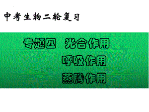 2022年中考生物-专题04 光合作用呼吸作用蒸腾作用.pptx