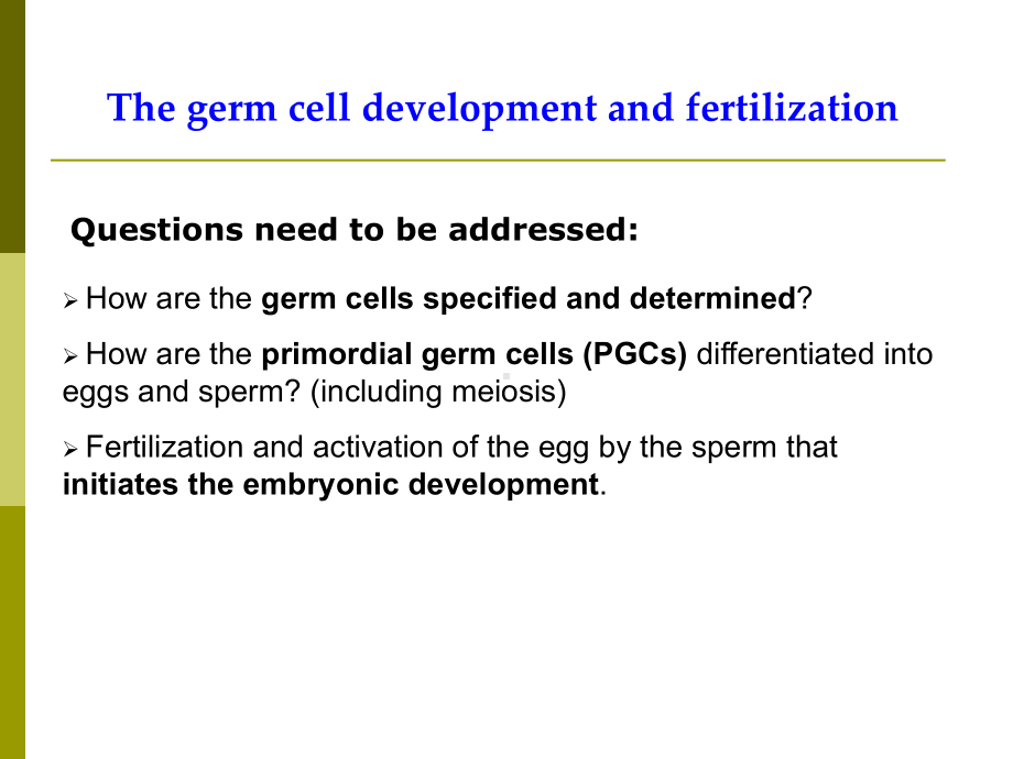 (发育生物学)III-生殖细胞发生与受精课件.ppt_第2页