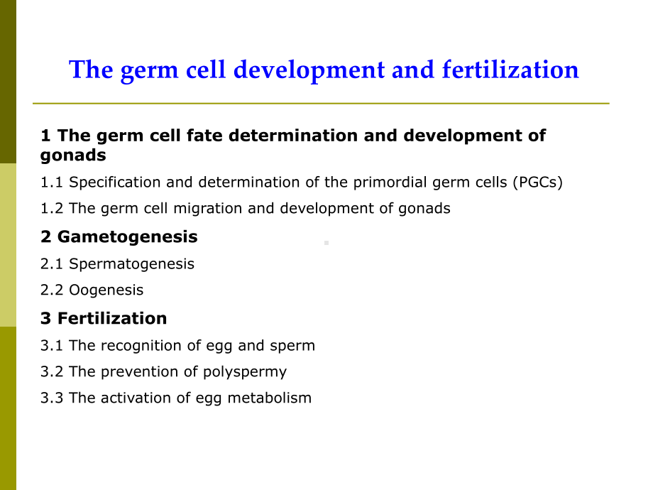 (发育生物学)III-生殖细胞发生与受精课件.ppt_第3页