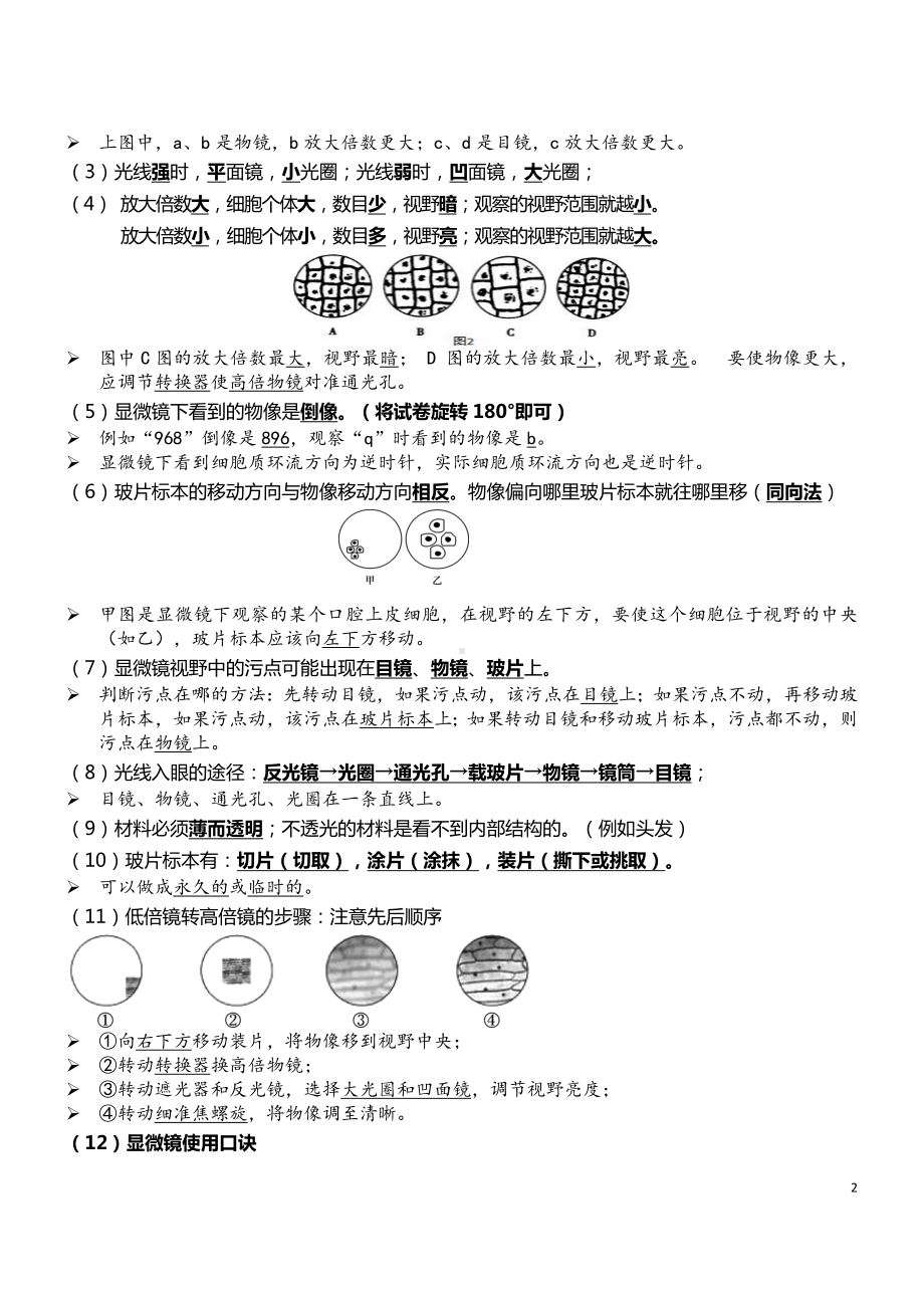 02 细胞是生命活动的基本单位-2022年中考生物必背.docx_第2页