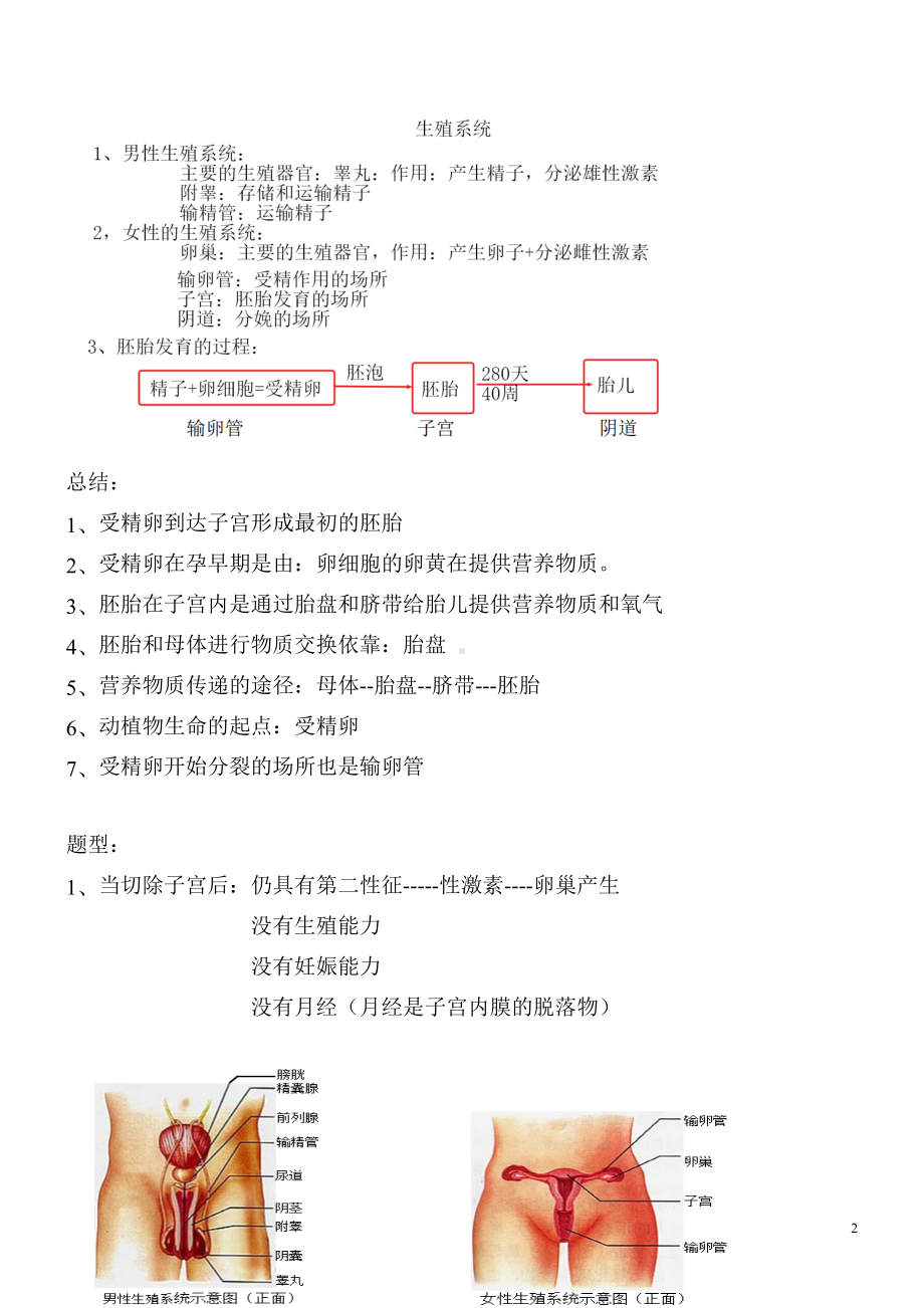 备战中考知识大扫盲-知识点3生殖+消化+呼吸+循环.docx_第2页