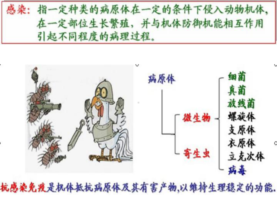 (免疫学课件)感染免疫.ppt_第3页