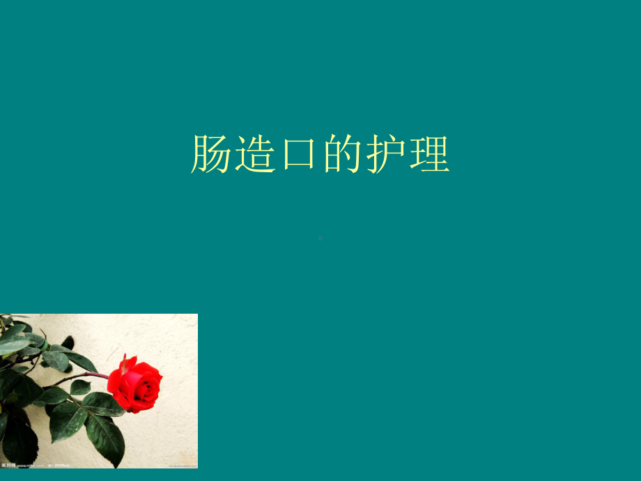 -肠造口的护理课件.ppt_第1页