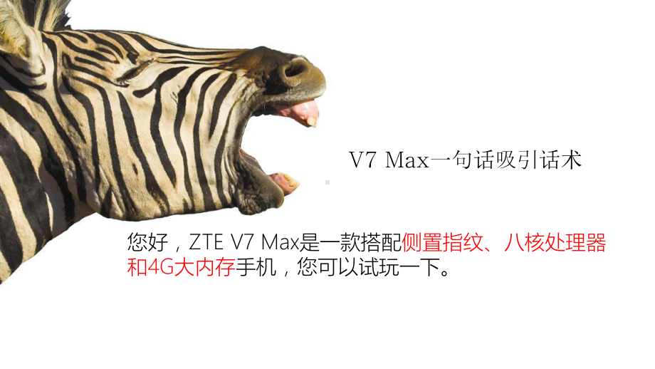 ZTE-V7-MAX产品培训课程课件.pptx_第3页