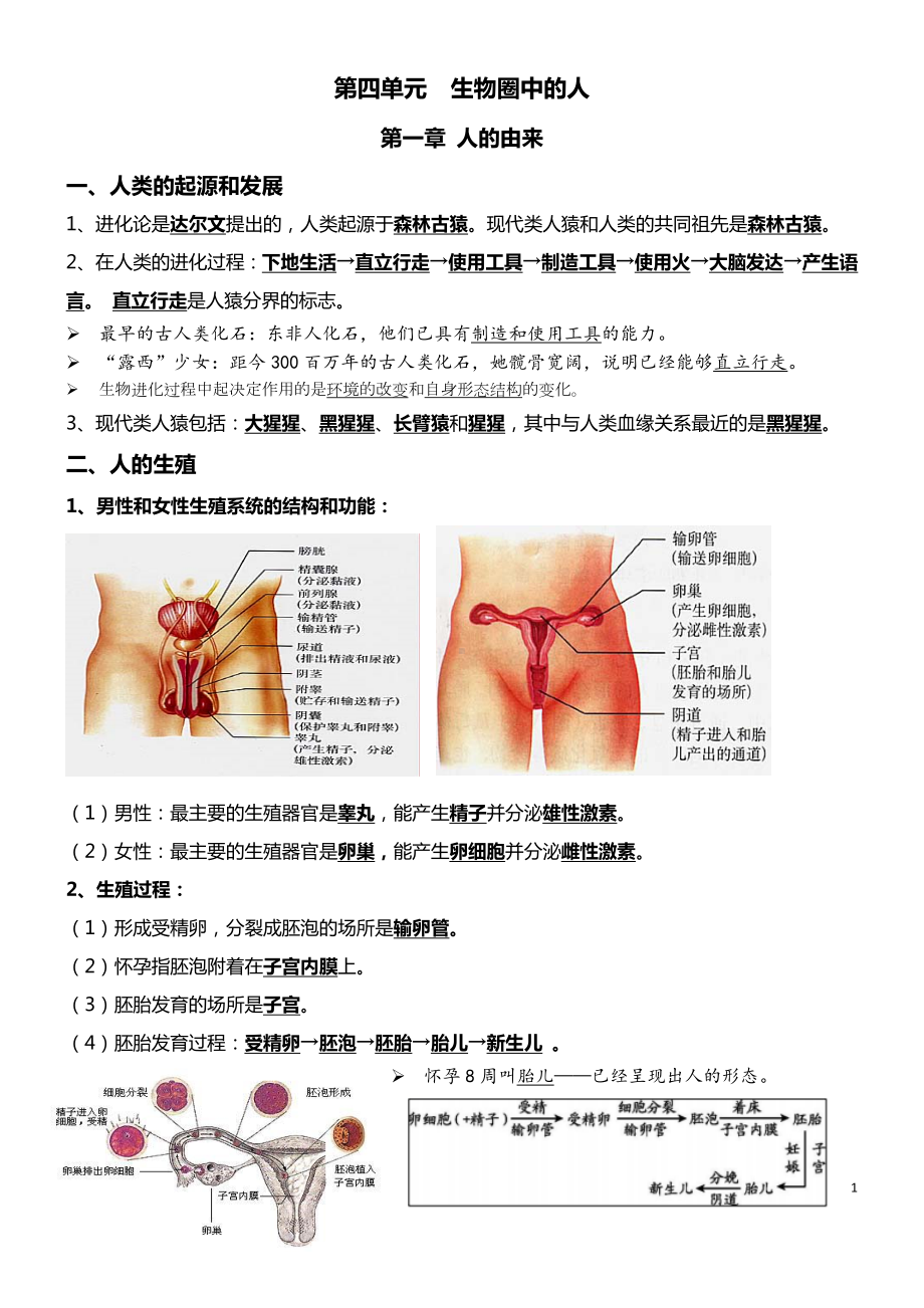 06 人的由来+人体的营养-2022年中考生物必背.docx_第1页