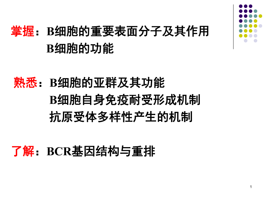 B淋巴细胞PPT医学课件.ppt_第1页