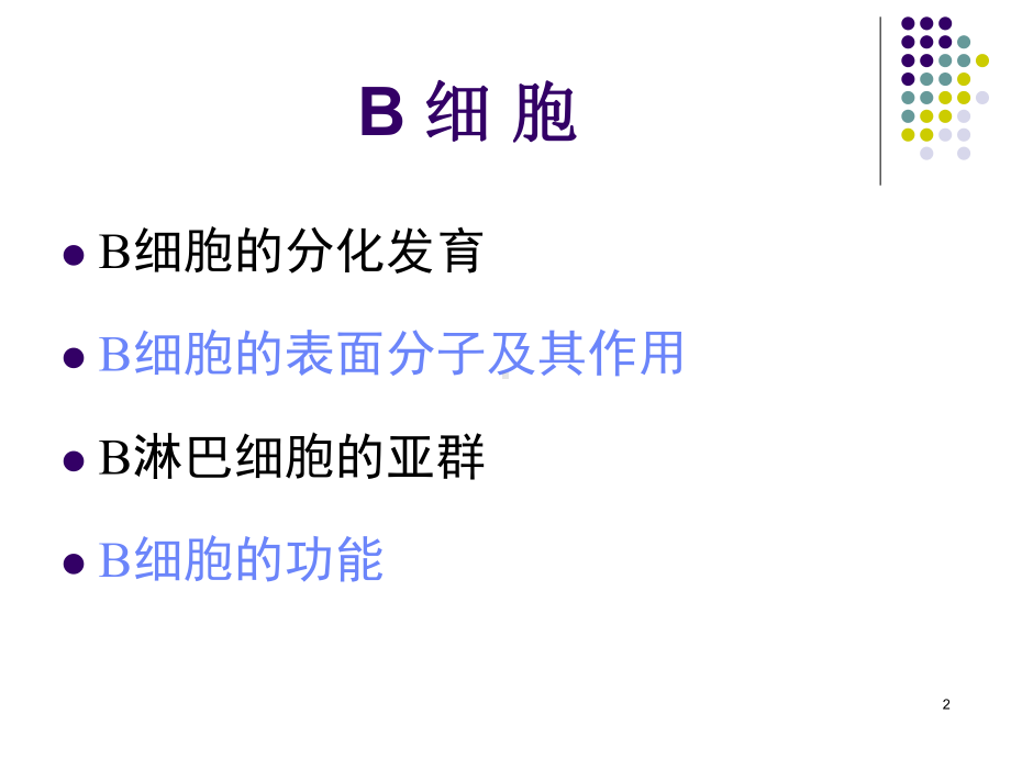 B淋巴细胞PPT医学课件.ppt_第2页